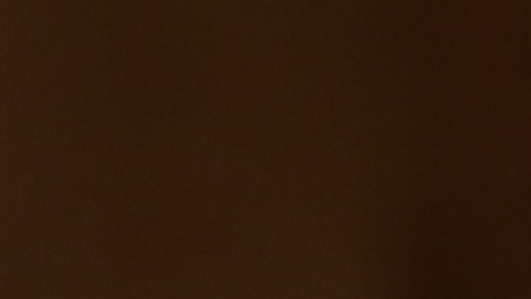 Lyons dejará su cargo en medio de las fuertes críticas hacia las operaciones migratorias en la era Trump.