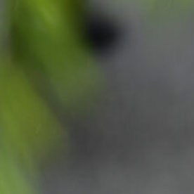 Ty Cobb, abogado que trabajó la administración Trump en 2017