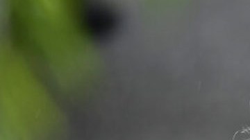 Ty Cobb, abogado que trabajó la administración Trump en 2017