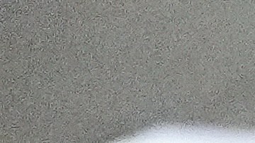 Elecciones en Virginia favorece a demócratas.