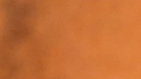 Zendaya Euphoria premiere