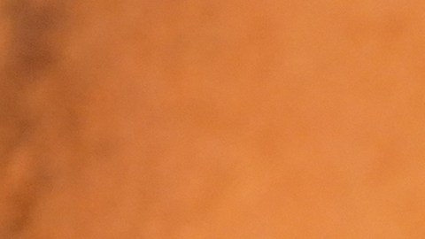 Zendaya Euphoria premiere