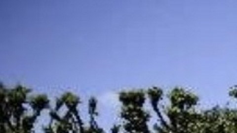 Importa dónde vives: el impacto del entorno en el envejecimiento cerebral