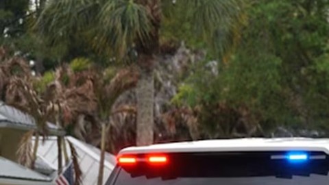 Una mujer de aproximadamente 75 años fue asesinada mientras paseaba a su perro en un vecindario de Florida.