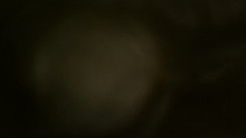 El Ave Fénix es un animal mitológico que se caracteriza por renacer de sus cenizas.