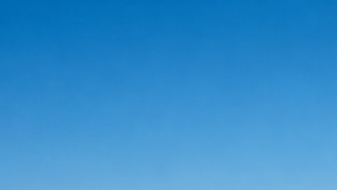 Carretera recta atravesando un desierto árido con horizonte infinito y cielo despejado, sin curvas visibles.