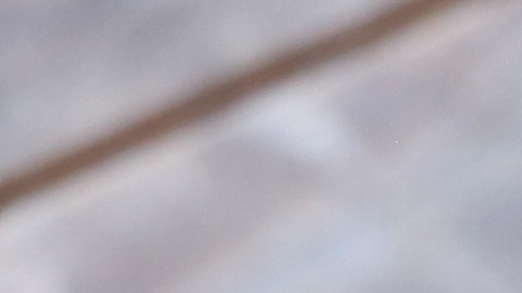 Los chupitos de jengibre consisten en pequeñas dosis concentradas de jengibre, generalmente en forma de jugo o extracto.
