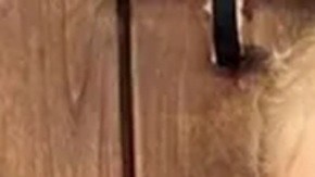 Según su propia confesión, intentó romperle el cuello sin éxito y finalmente la estranguló dentro de la camioneta.