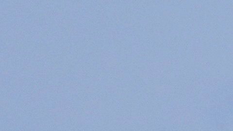 Hasta el momento, se han reportado más de una docena de incidentes.