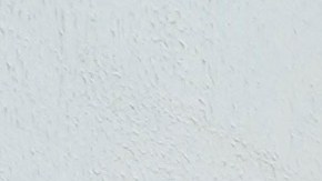 Ecuador cerró el primer trimestre de 2026 con 1,857 asesinatos, es decir 5 diarios.