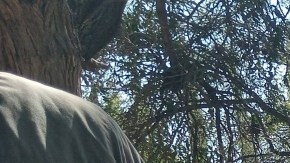 fosa clandestina
