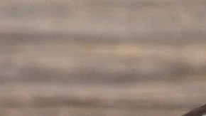 Sigue el caso de fraude migratorio en Luisiana.