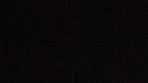 La Luna puede ayudarte a cuidar tus plantas.