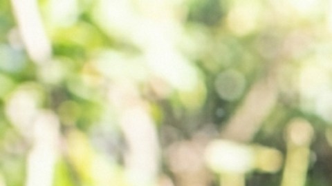 El preparado de café, cáscara de banana y agua debe utilizarse en un plazo corto, entre dos y tres días, ya que la cáscara puede descomponerse rápidamente.