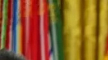 ¿Qué hay detrás de la revisión de los psicodélicos? Cómo esto puede cambiar el modo de ver las afecciones y los fármacos