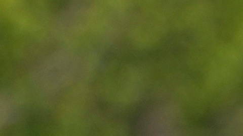 Army troops patrol to ensure security ahead of the United States and Iran possible negotiations in Pakistani capital after two-week ceasefire, in Islamabad, Pakistan, Thursday, April 9, 2026. (AP Photo/Anjum Naveed)