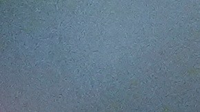 Attorney General Pam Bondi listens during a Cabinet meeting at the White House, Thursday, March 26, 2026, in Washington. (AP Photo/Alex Brandon)