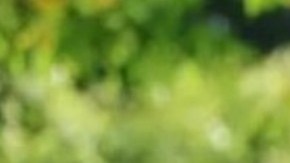 "Síndrome de vida ocupada": parar y reflexionar unos 30 minutos al día puede ayudarte