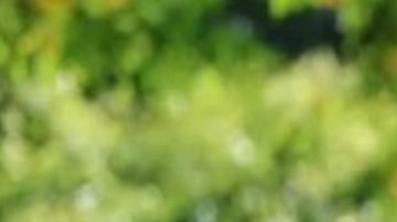 "Síndrome de vida ocupada": parar y reflexionar unos 30 minutos al día puede ayudarte