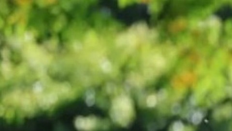 "Síndrome de vida ocupada": parar y reflexionar unos 30 minutos al día puede ayudarte