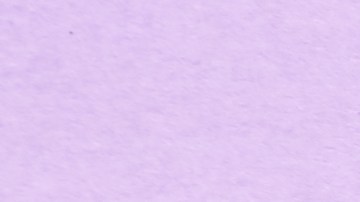 Bajo un argumento lógico, expertos recomiendan que las mediciones con una regla deben iniciarse desde el cero, no desde el borde del instrumento.