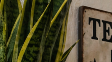 Serpiente de cascabel dentro de una casa en Texas, sobre piso de cerámica cerca de la entrada, con sala al fondo y decoración texana.