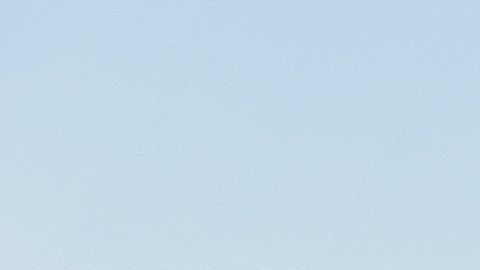 Tras el aterrizaje, tanto la madre como el recién nacido fueron atendidos por personal médico y se encuentran en buen estado.