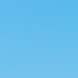 Lynette, de 56 años, desapareció el sábado por la noche mientras viajaba con su esposo en una pequeña embarcación cerca de Hope Town, en las Bahamas.