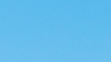 Lynette, de 56 años, desapareció el sábado por la noche mientras viajaba con su esposo en una pequeña embarcación cerca de Hope Town, en las Bahamas.