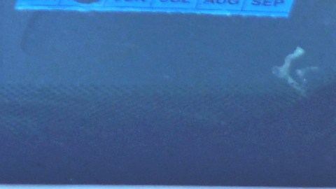 Los servicios de emergencia confirmaron que ambos jóvenes fallecieron en la escena.