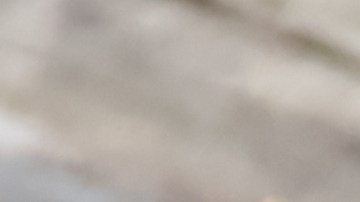 Un menor de dos años fue herido de bala en la cabeza tras un disparo accidental ocurrido en una vivienda en las afueras de Houston.