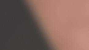 El acusado se declaró culpable de asesinato en segundo grado como parte de un acuerdo con la fiscalía.