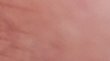 permanece detenida en la cárcel del condado de Alachua y tiene una fianza fijada en $20,000 dólares.