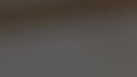 Dos hijos de la pareja resultaron heridos durante el tiroteo.