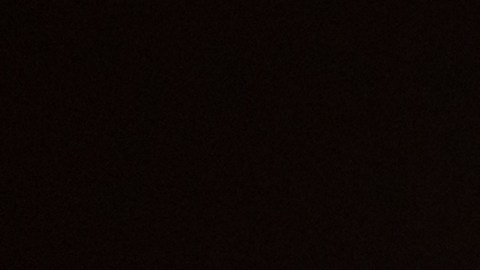 John Ternus ha ocupado cargos clave dentro de Apple durante los últimos años