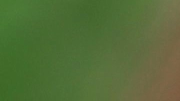 FDA anuncia el retiro del mercado de 3,1 millones de frascos de gotas para los ojos vendidos en tiendas minoristas