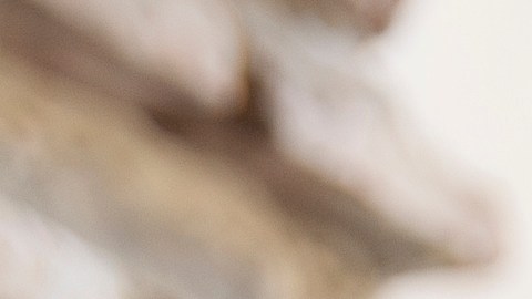 Competir está en la naturaleza de algunos signos del zodiaco.