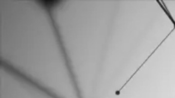 Una IA de OpenAI refutó la conjetura de Erdős sobre el problema de la distancia unitaria, planteado en 1946. (Imagen de referencia)