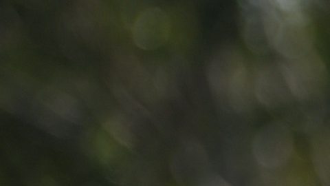 Dennis te Kloese (i) tiene pasado como gerente general del LA Galaxy y estuvo detrás de la contratación de "Chicharito" Hernández (d).