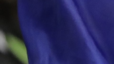 El exjugador de la selección de Honduras fue muy querido por la afición.
