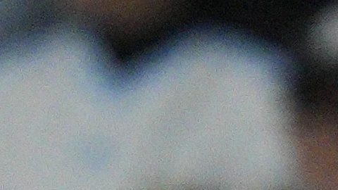 Orbelín Pineda fue una pieza clave para la obtención del título.