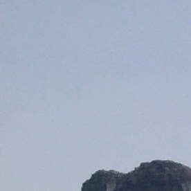 el excursionista pudo haberse encontrado con un oso grizzly mientras caminaba hacia una torre de observación para contemplar el atardecer.