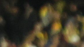 Ya se conocen los 26 nombres de los futbolistas que representarán a Colombia en el Mundial 2026.