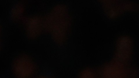 Barcelona head coach Hansi Flick is lifted up by his players after winning the Spanish La Liga soccer match between FC Barcelona and Real Madrid that makes them Spanish league champions in Barcelona, Spain, Sunday, May 10, 2026. (AP Photo/Joan Monfort)