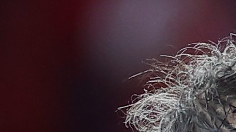 Luis Enrique llevó al PSG a ganar su segunda Champions de la historia.