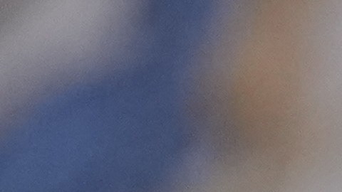 La resolución sobre Virginia añade presión política de cara a las elecciones intermedias de noviembre.