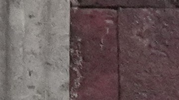 BTS Palacio Nacional