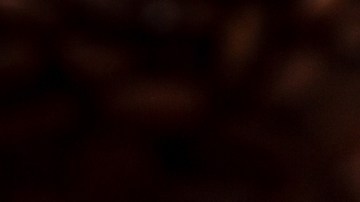 El consumo diario de café impacta la función renal, y no precisamente tan bien