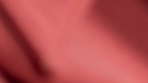 Calendario del Seguro Social para junio 2026 estos son los días de pago