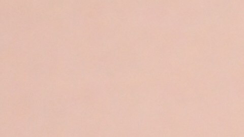 Cameron Diaz